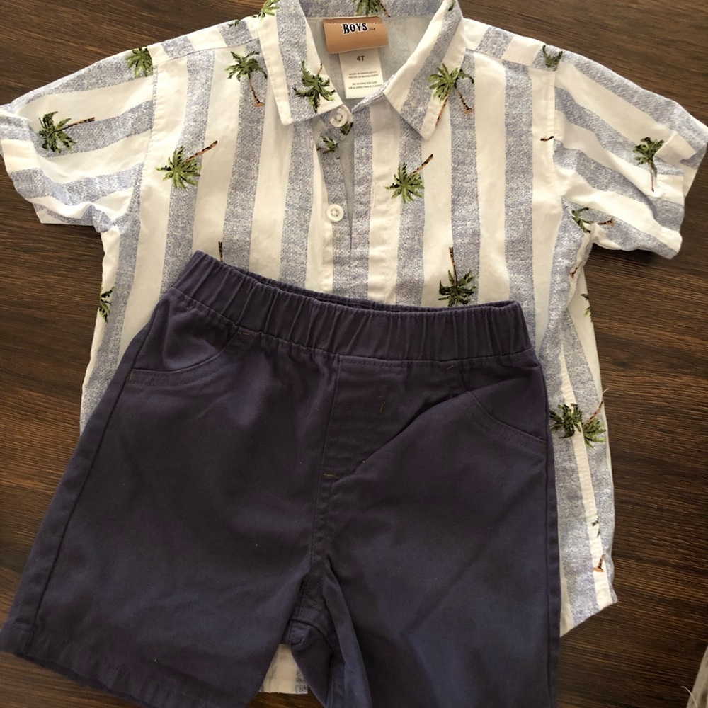 Set 2 Palm Tree shirt and shorts